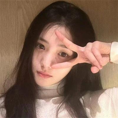 从前有个傻子特工